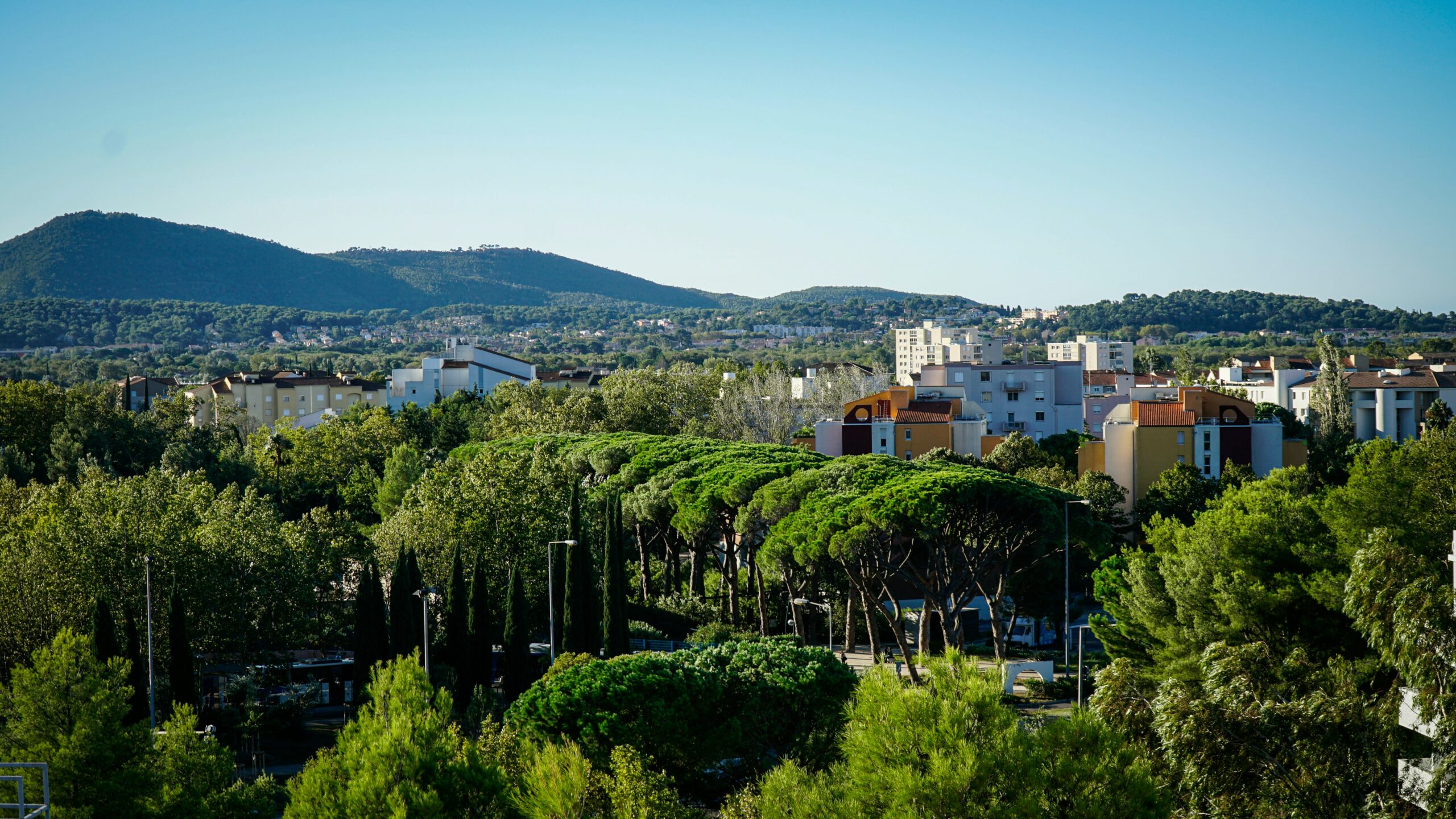 Découvrez les meilleurs jobs étudiants en France en 2026 pour financer vos études