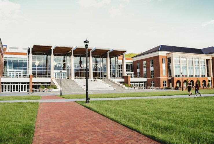 Guide complet pour l'orientation lycée et l'affectation en 3e