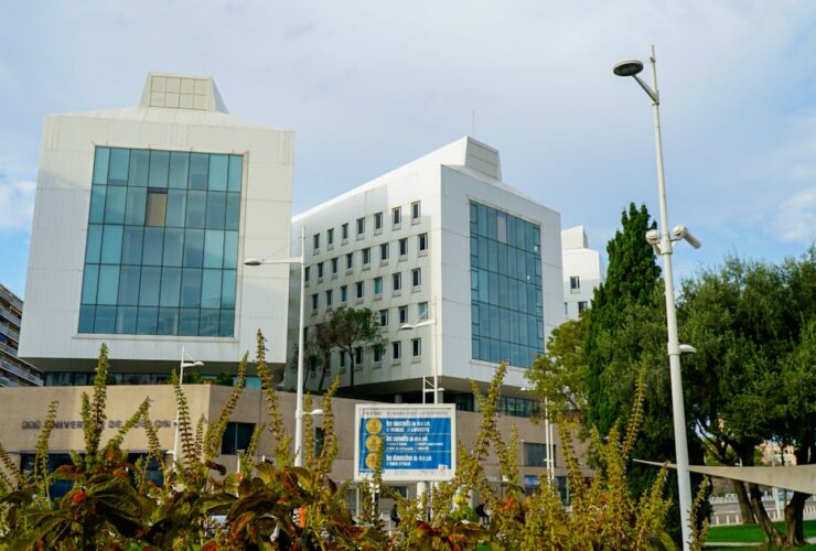 Parcoursup validation vœux 2026 : finalisez et validez vos choix à temps