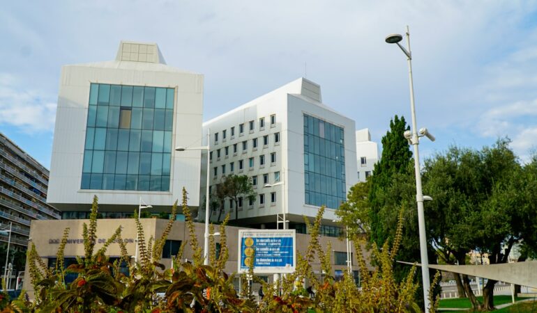 Parcoursup validation vœux 2026 : finalisez et validez vos choix à temps